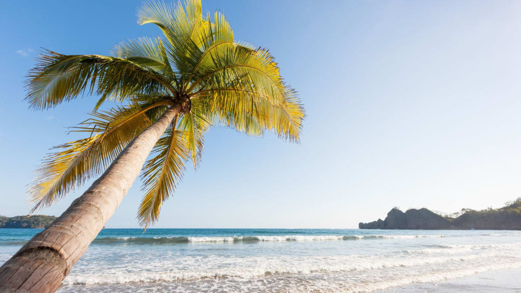 Vibrant Tamarindo